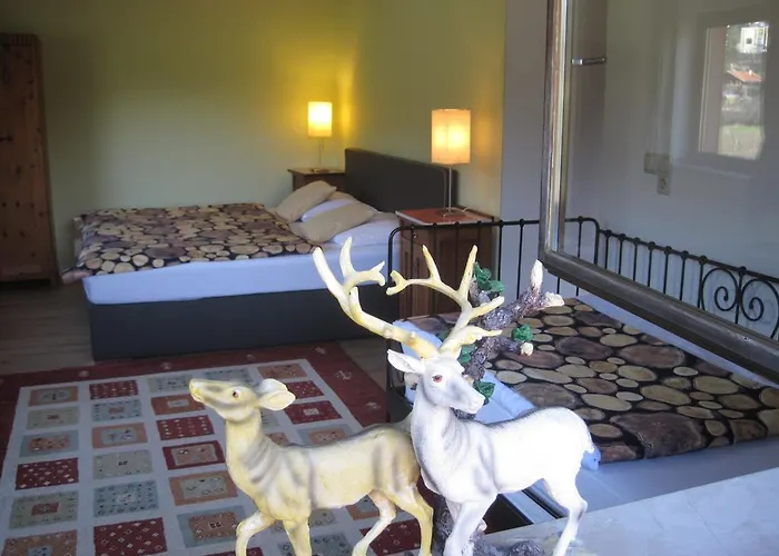 The Art & Sport Innsbruck